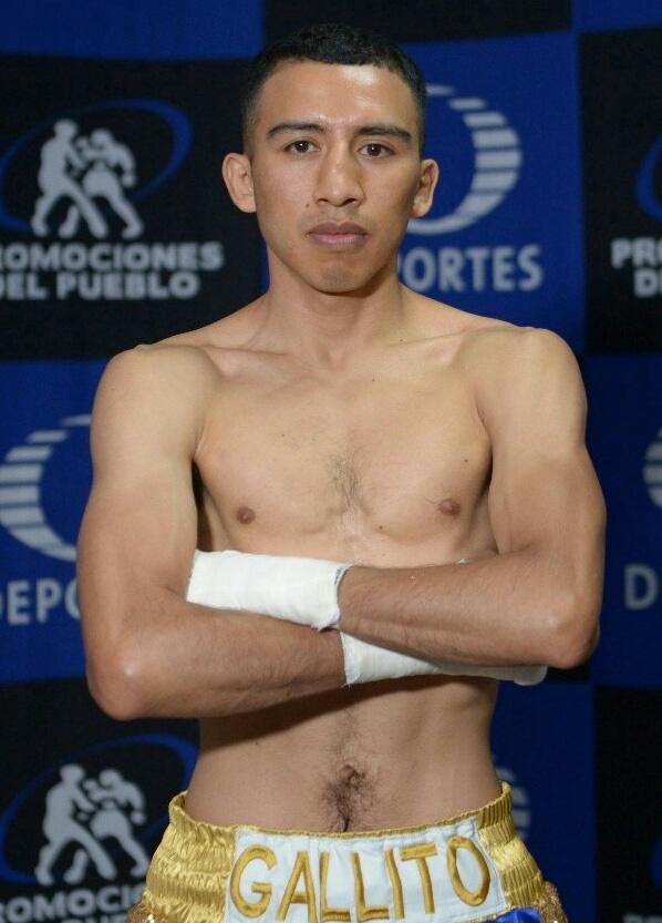 ORUCUTA EN PELEA DE GALLOS POR EL ORGULLO MEXICANO 