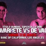 MIRANDO A LA FINAL DE PUÑOS ROSAS NOVATAS 2019