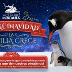 La “Chiquita” González” Satisfecho en la Promoción del Boxeo Profesional